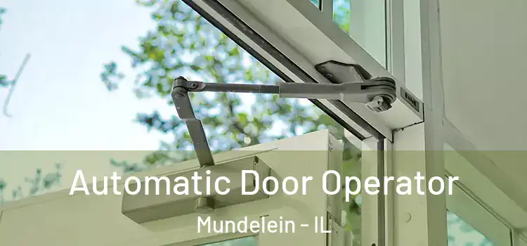 Automatic Door Operator Mundelein - IL
