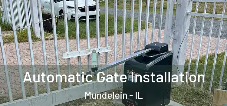Automatic Gate Installation Mundelein - IL