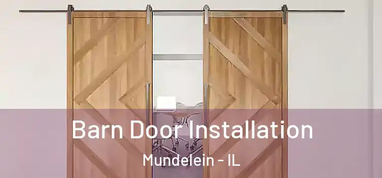  Barn Door Installation Mundelein - IL