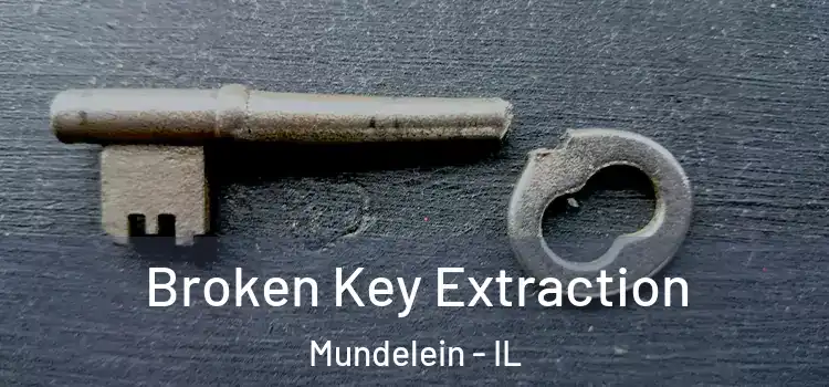  Broken Key Extraction Mundelein - IL