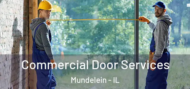  Commercial Door Services Mundelein - IL