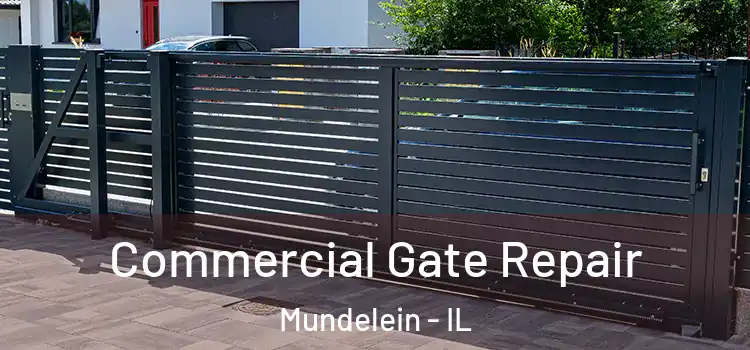  Commercial Gate Repair Mundelein - IL