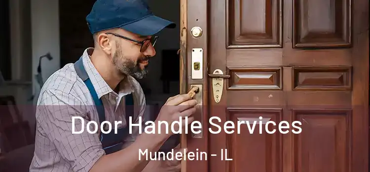  Door Handle Services Mundelein - IL