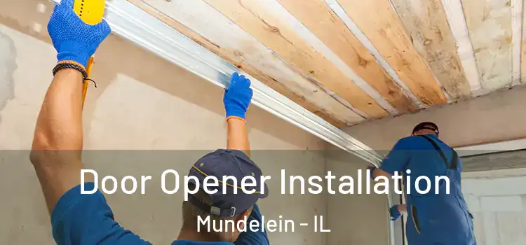  Door Opener Installation Mundelein - IL