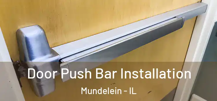  Door Push Bar Installation Mundelein - IL