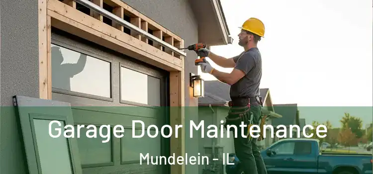  Garage Door Maintenance Mundelein - IL