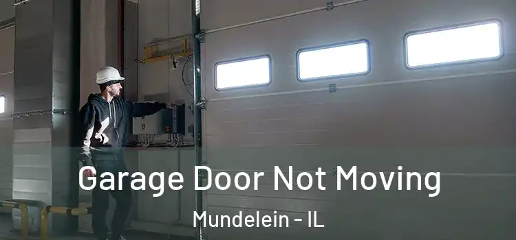  Garage Door Not Moving Mundelein - IL