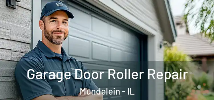  Garage Door Roller Repair Mundelein - IL