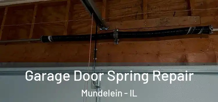 Garage Door Spring Repair Mundelein - IL