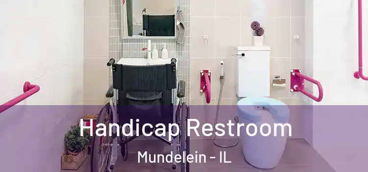  Handicap Restroom Mundelein - IL