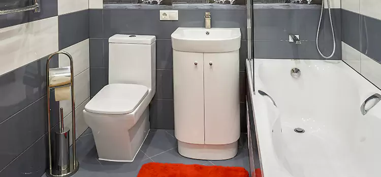 Hansgrohe Shaving Mirror Mundelein