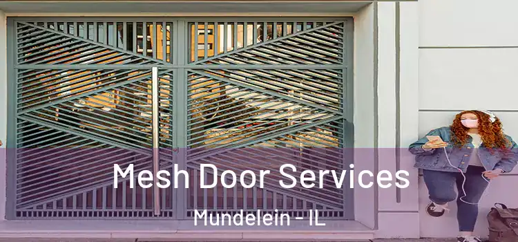  Mesh Door Services Mundelein - IL