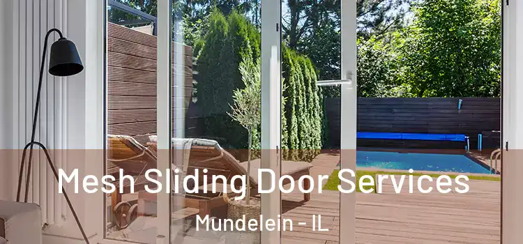  Mesh Sliding Door Services Mundelein - IL