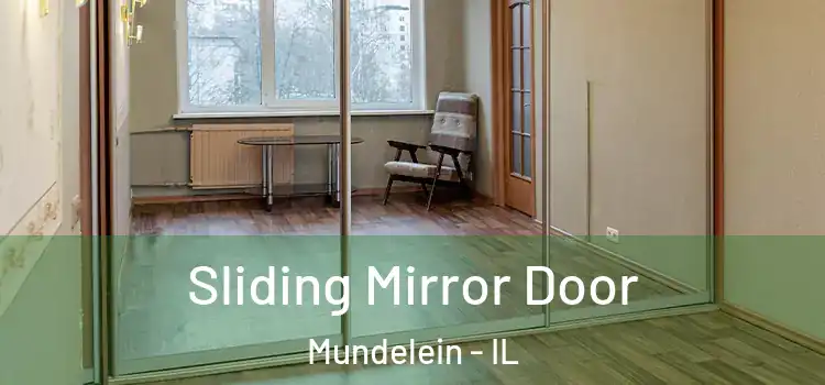  Sliding Mirror Door Mundelein - IL